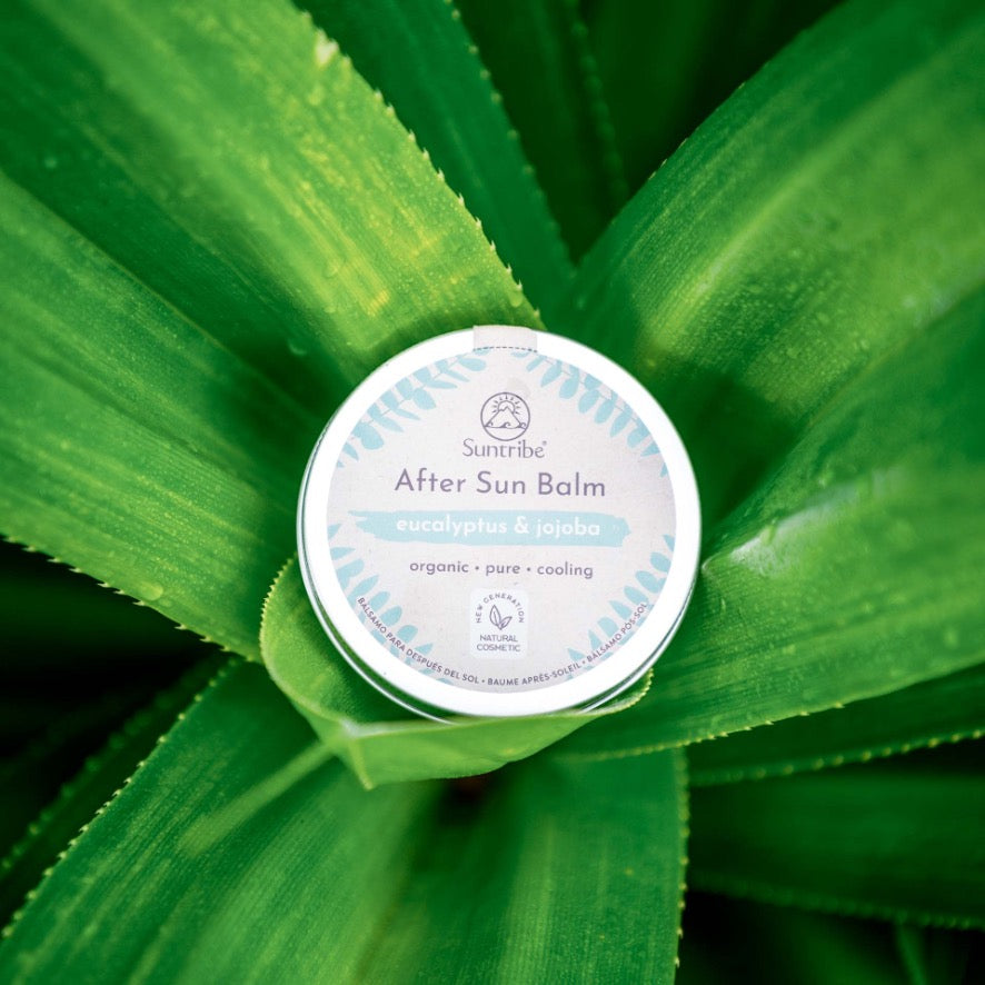 Suntribe Organic After Sun Balm Eucalyptus & Jojoba (100ml)